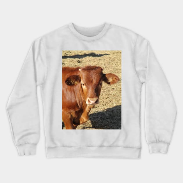 Bucky The Bull Crewneck Sweatshirt by DMArtwork